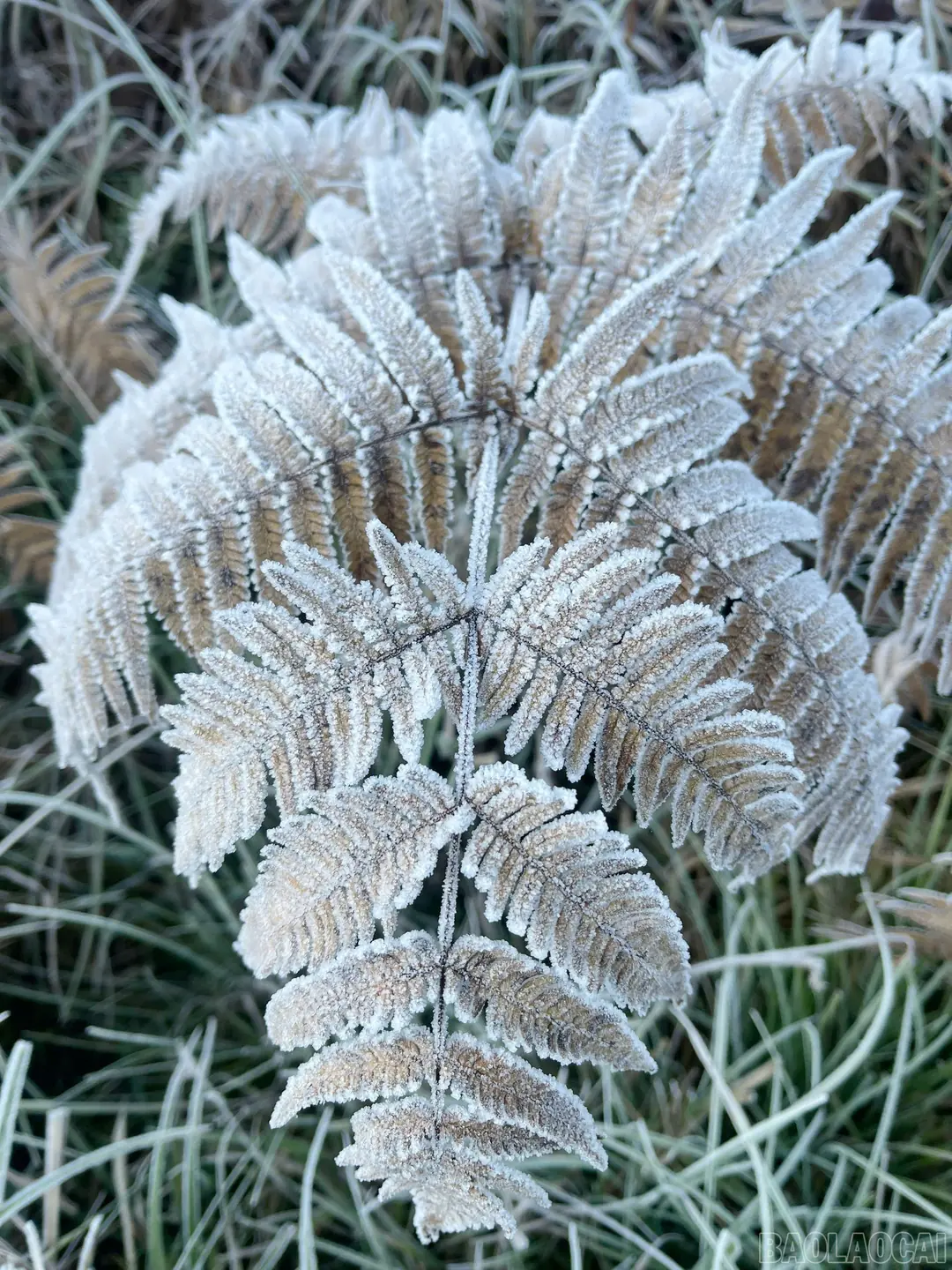 Đài PTTH Hà Nội